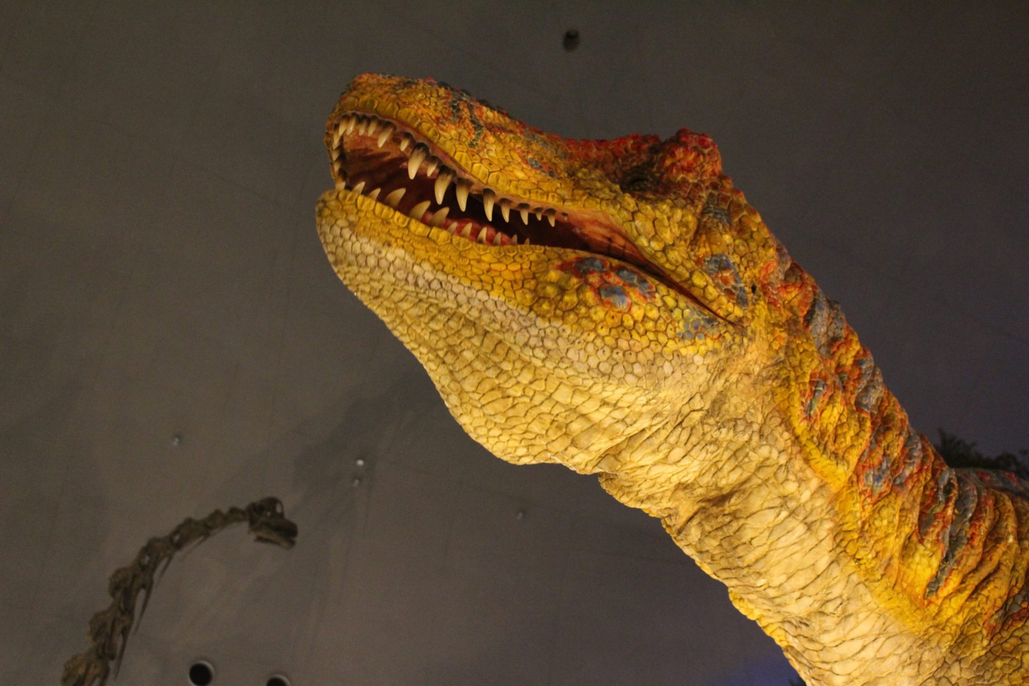 福井県立恐竜博物館が凄い ／ 開館23年目、年100万人が来場 ／ 大人同士にもオススメ ／ 「世界3大」の1つ